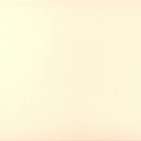 Бук Выбеленный