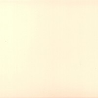 Бук Выбеленный